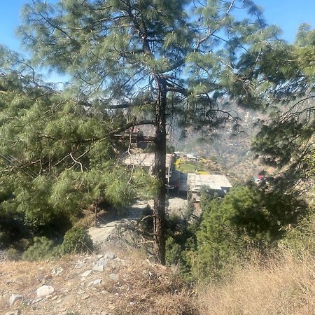 Aditya Homestay ダルハウジ エクステリア 写真
