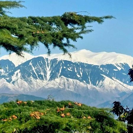 Aditya Homestay ダルハウジ エクステリア 写真