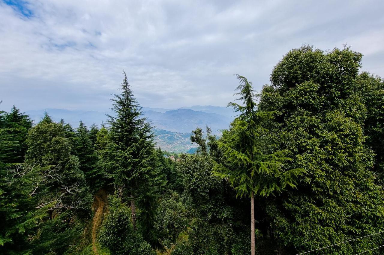 Aditya Homestay ダルハウジ エクステリア 写真