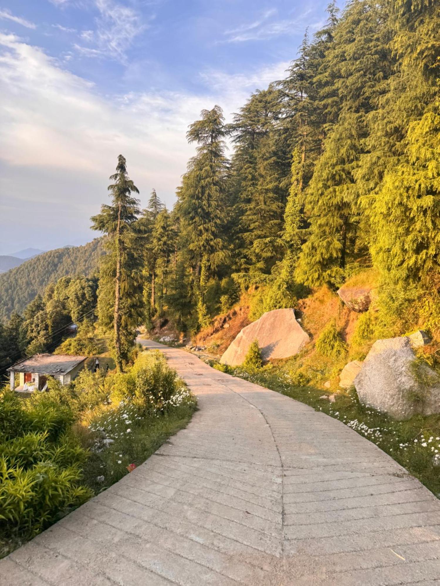 Aditya Homestay ダルハウジ エクステリア 写真