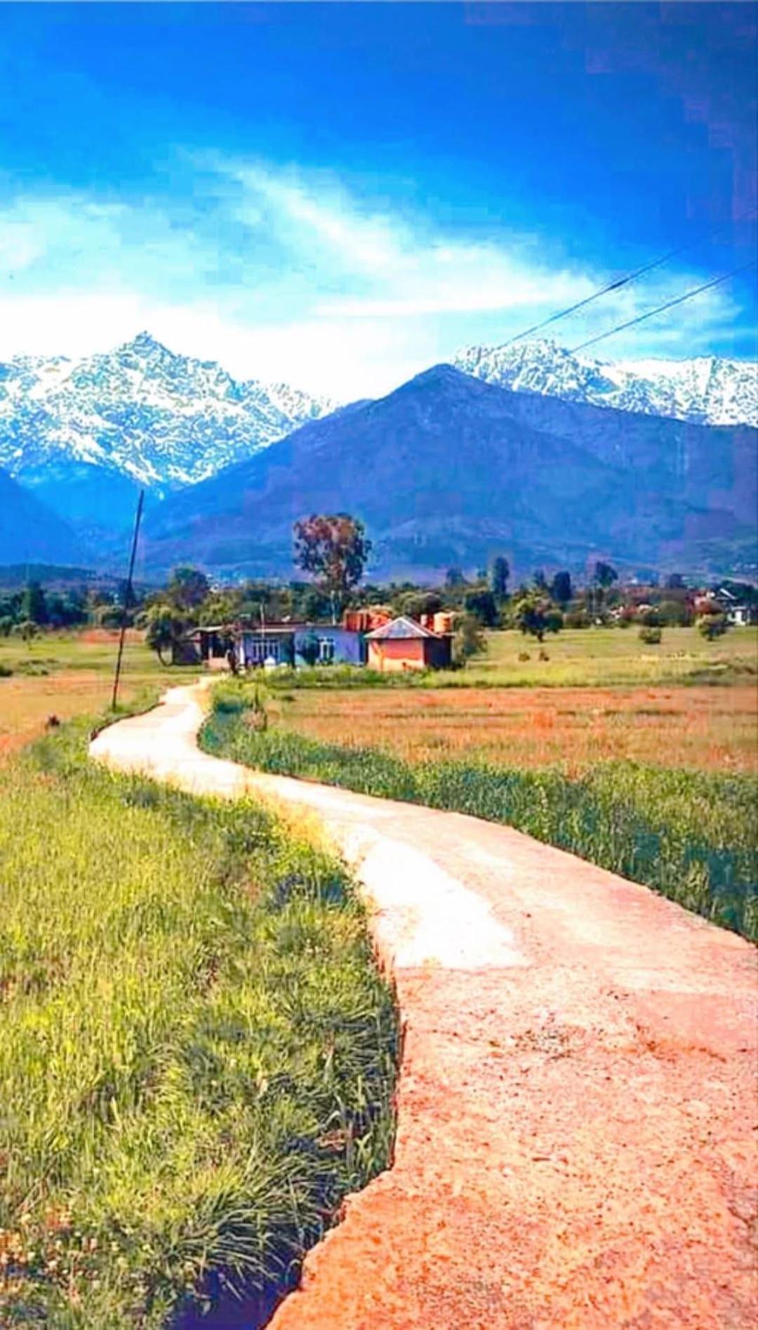 Aditya Homestay ダルハウジ エクステリア 写真