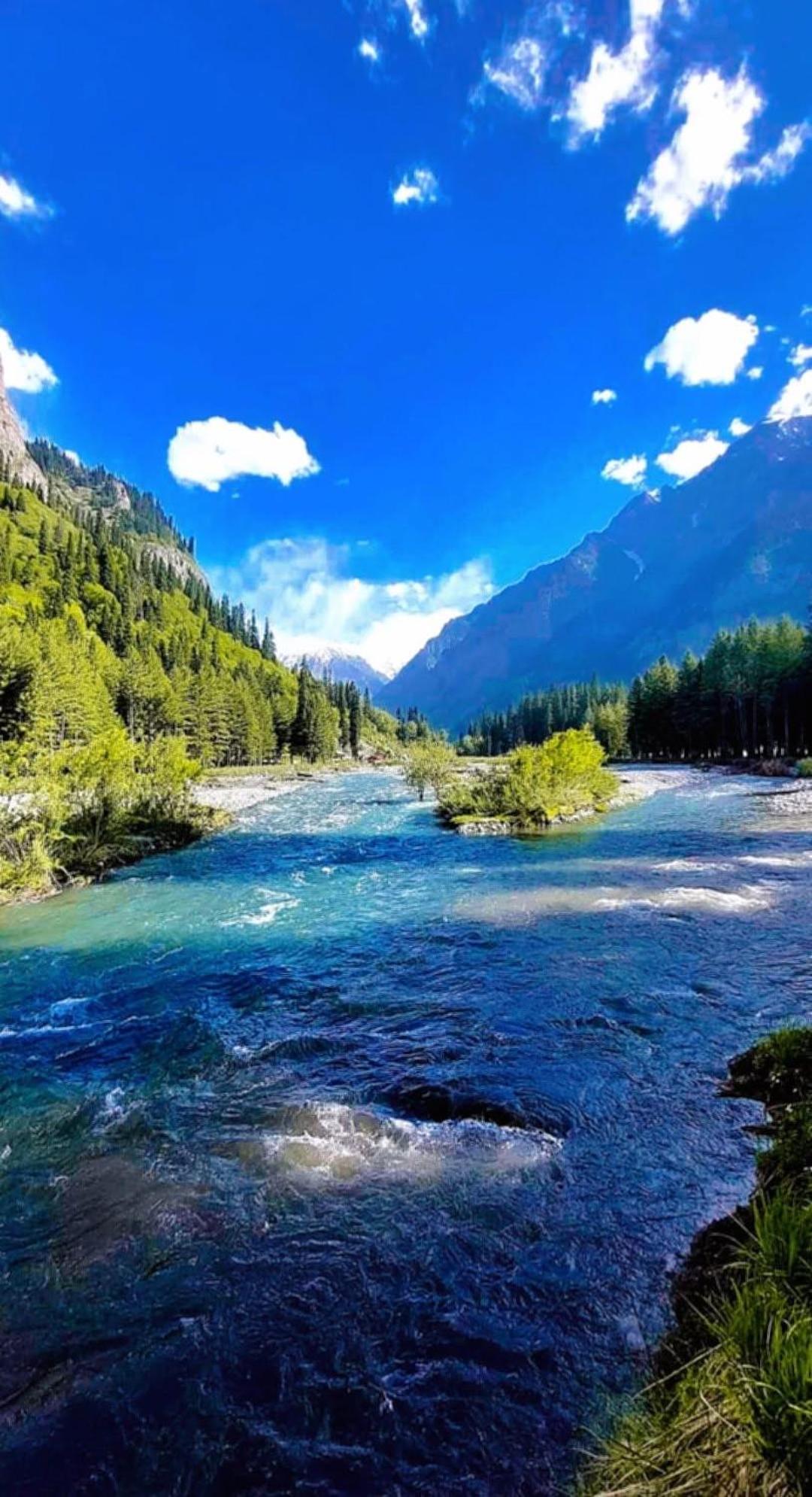 Aditya Homestay ダルハウジ エクステリア 写真