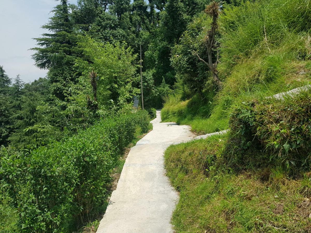 Aditya Homestay ダルハウジ エクステリア 写真