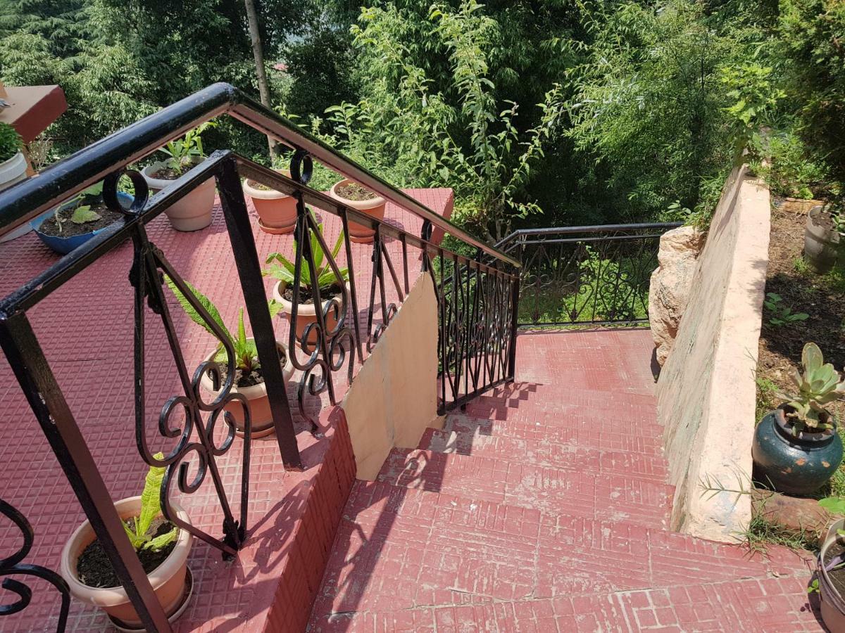 Aditya Homestay ダルハウジ エクステリア 写真