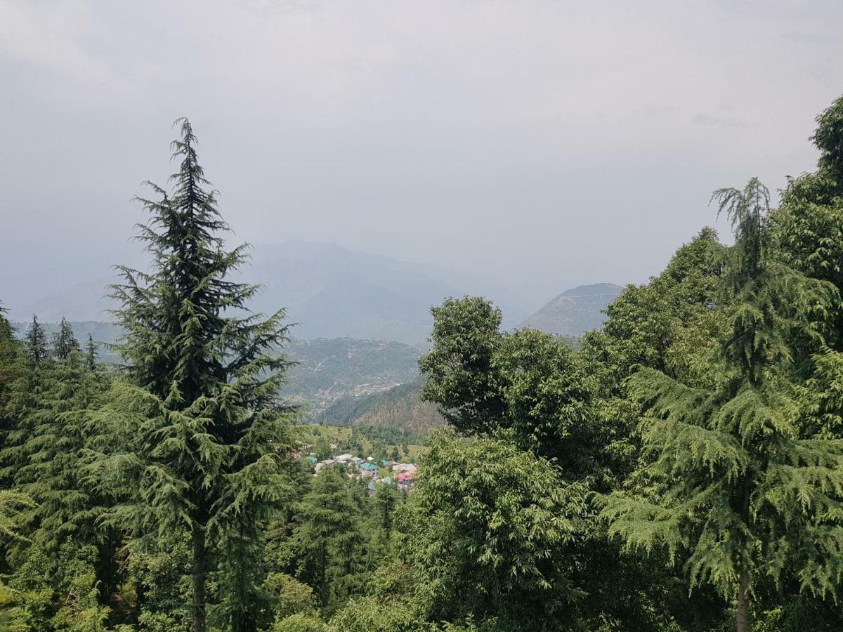 Aditya Homestay ダルハウジ エクステリア 写真